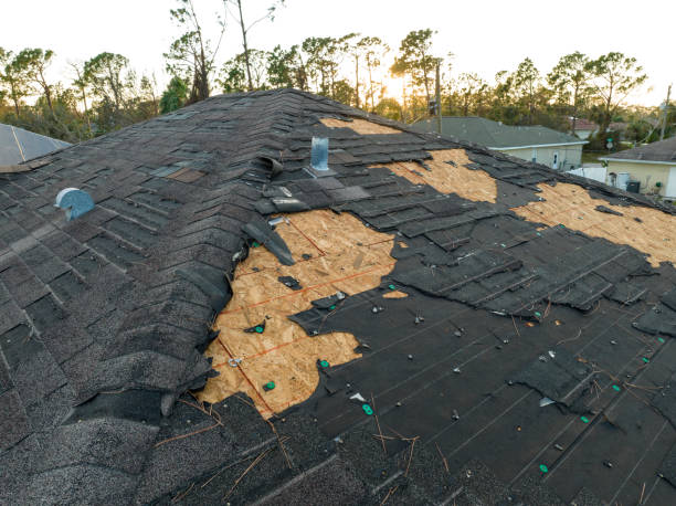 Professional Roofing Service in Hudson Lake, IN