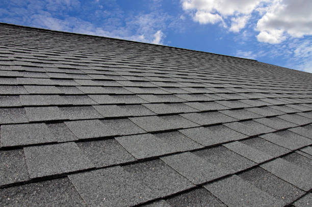 Best Roof Leak Repair  in Hudson Lake, IN